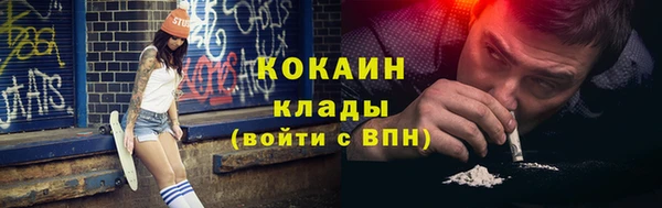 крисы Магас