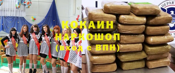 крисы Магас