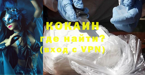 индика Майский