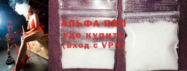 крисы Магас