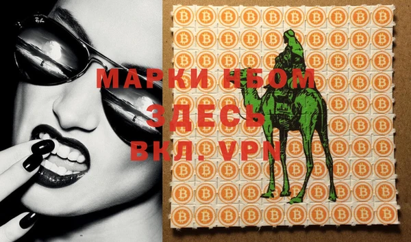 крисы Магас