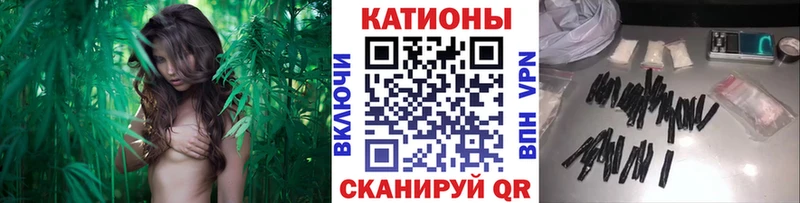 где найти Моздок Мефедрон mephedrone