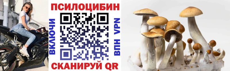 даркнет сайт  Моздок  Галлюциногенные грибы мухоморы 