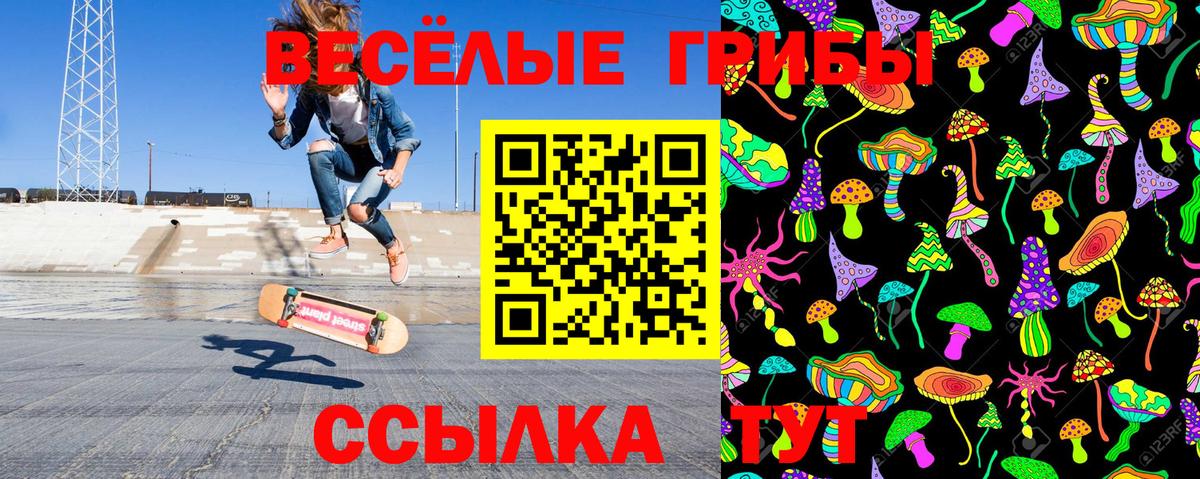 Галлюциногенные грибы GOLDEN TEACHER  Вход с VPN  Галлюциногенные грибы Magic Shrooms  Моздок 